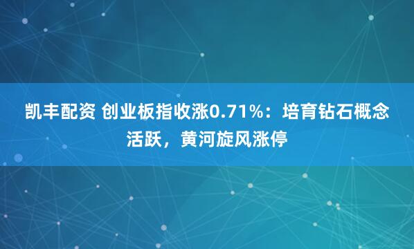 凯丰配资 创业板指收涨0.71%：培育钻石概念活跃，黄河旋风涨停