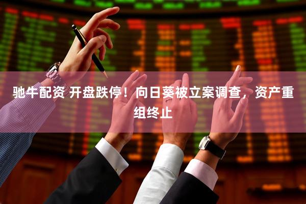 驰牛配资 开盘跌停！向日葵被立案调查，资产重组终止