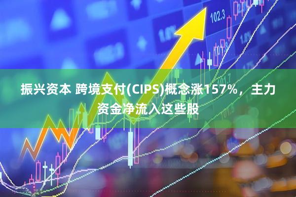 振兴资本 跨境支付(CIPS)概念涨157%，主力资金净流入这些股
